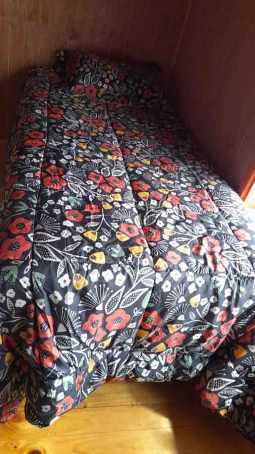 Hospedaje Familiar Tenchita Chaitén 外观 照片